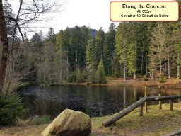 Etang du Coucou